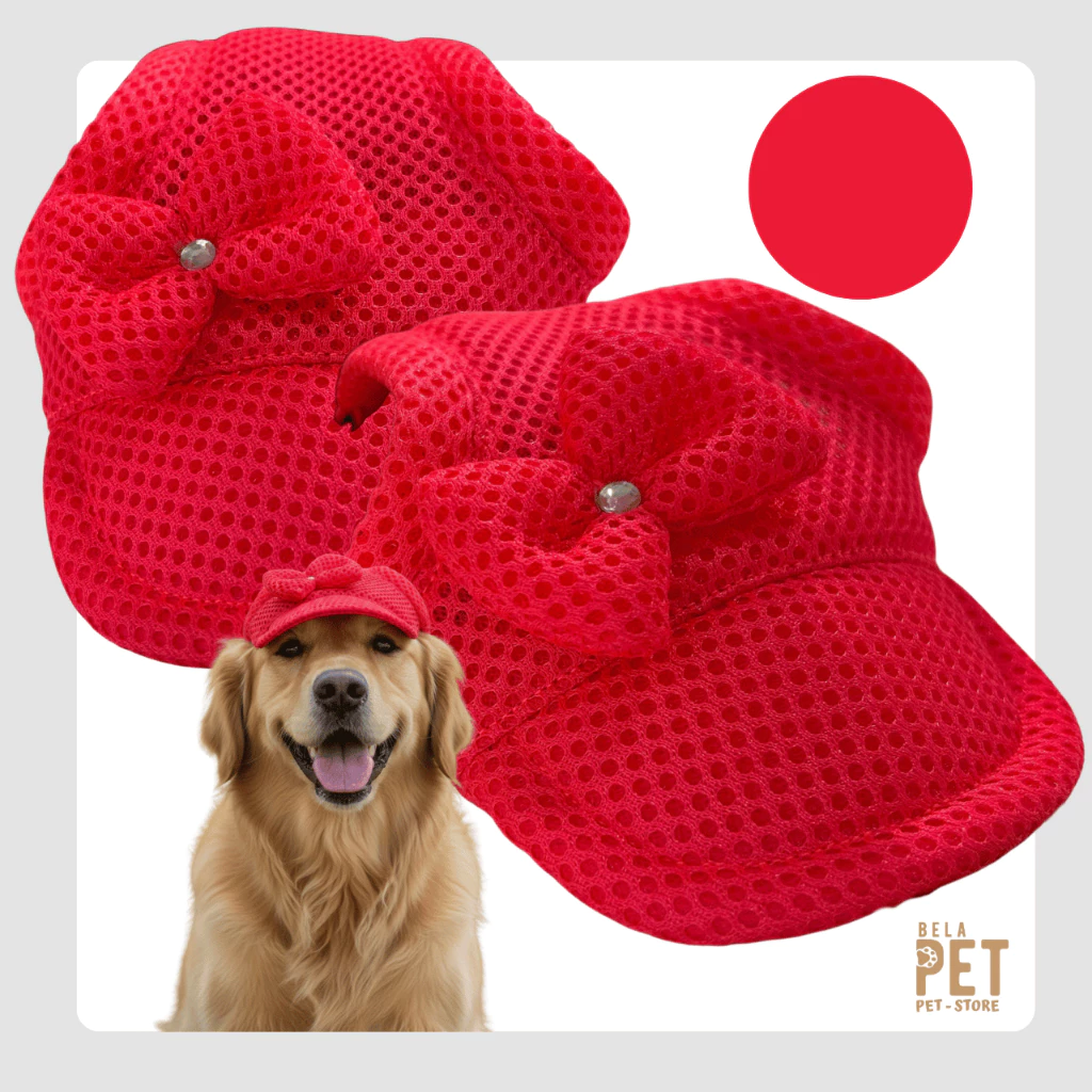 Boné Para Cachorro e Gato - Várias cores e modelos